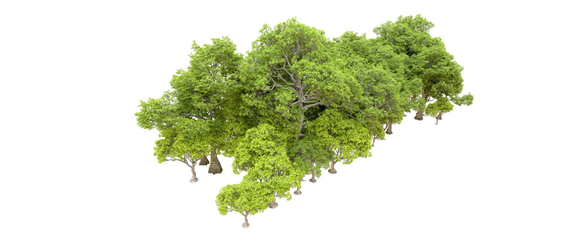 Green forest isolated on background. 3d rendering - illustration png