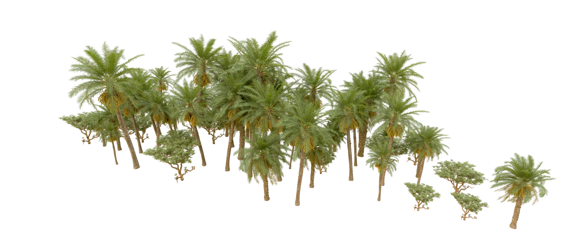 Green forest isolated on background. 3d rendering - illustration png