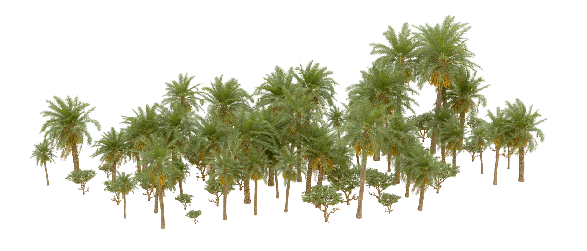 Green forest isolated on background. 3d rendering - illustration png