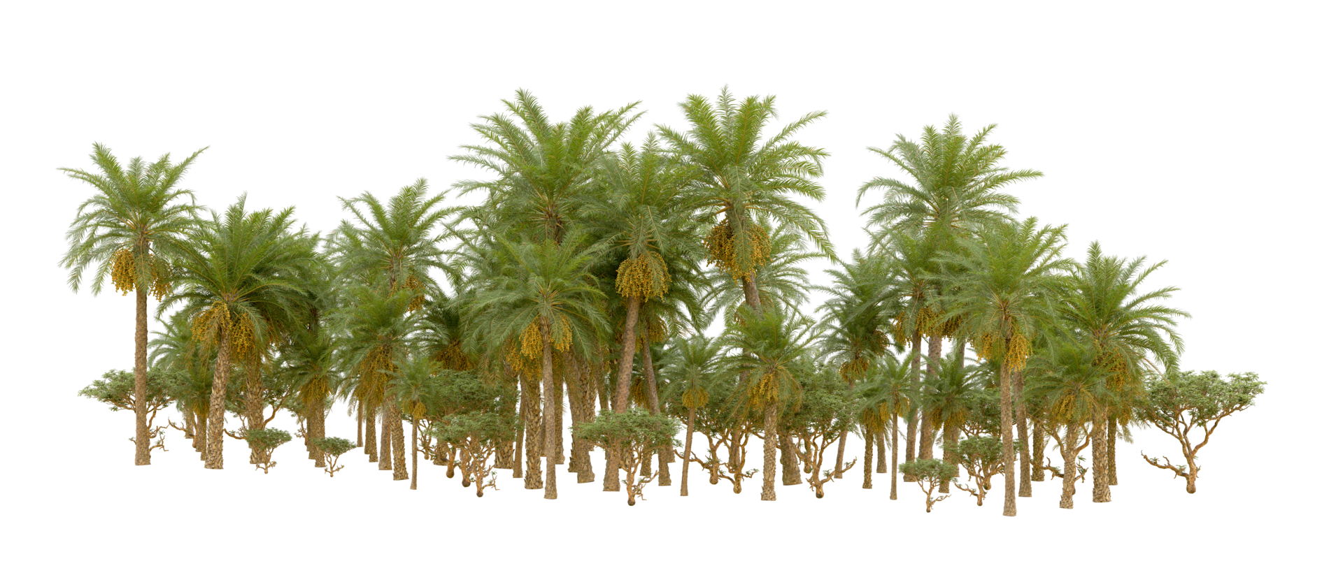 Green forest isolated on background. 3d rendering - illustration png