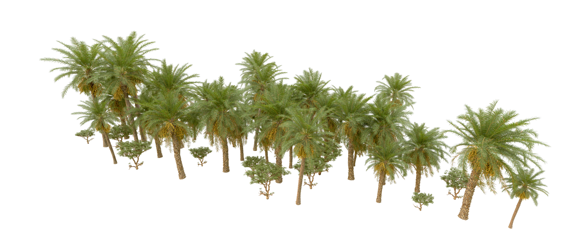 Green forest isolated on background. 3d rendering - illustration png
