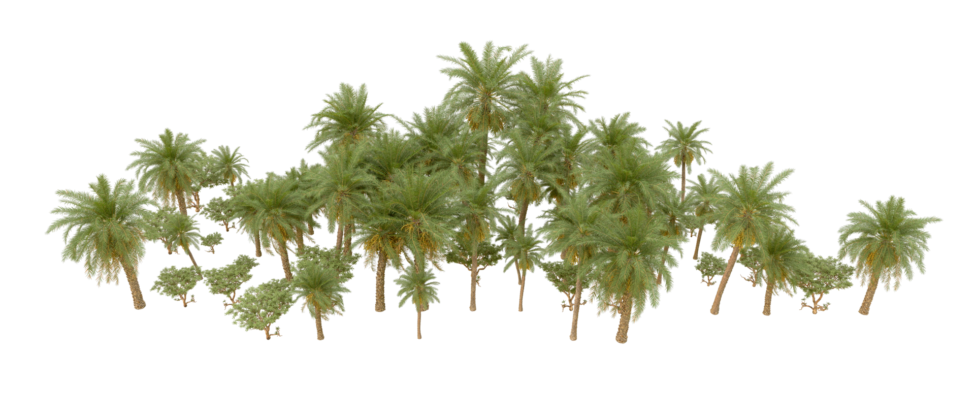 Green forest isolated on background. 3d rendering - illustration png