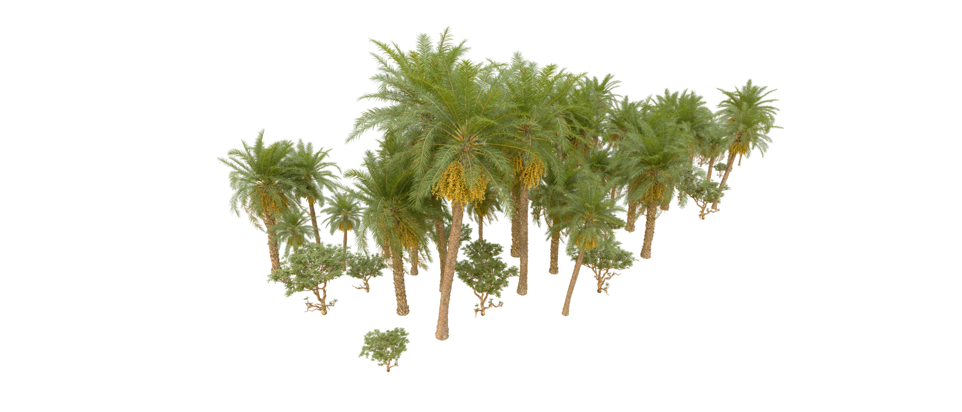 Green forest isolated on background. 3d rendering - illustration png