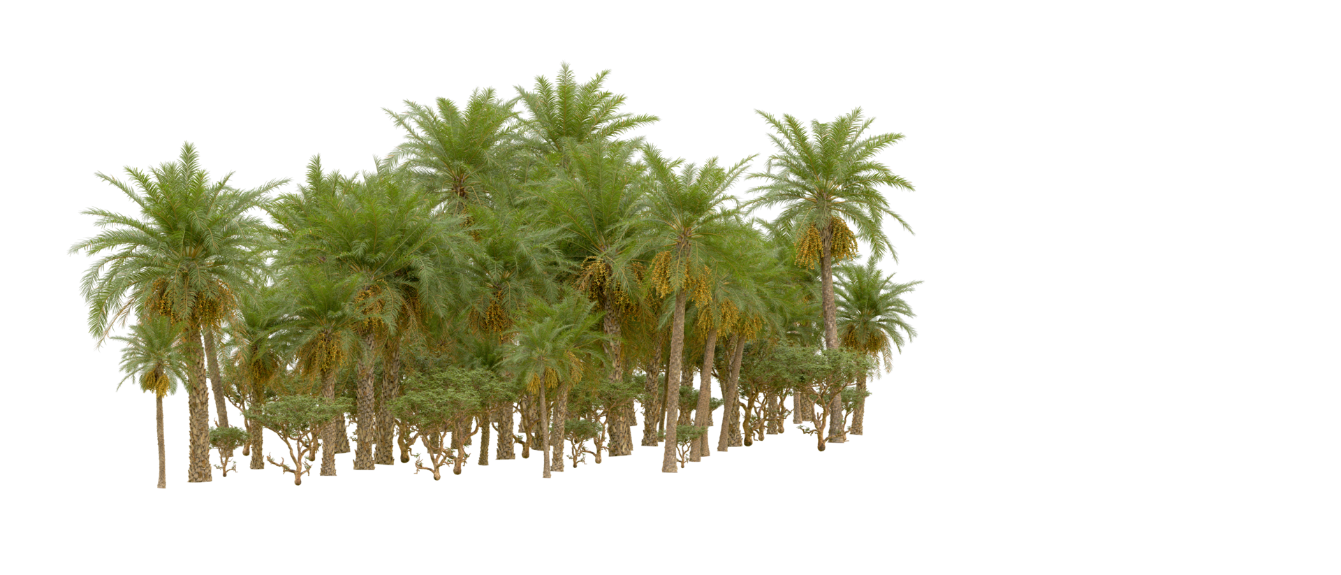 Green forest isolated on background. 3d rendering - illustration png