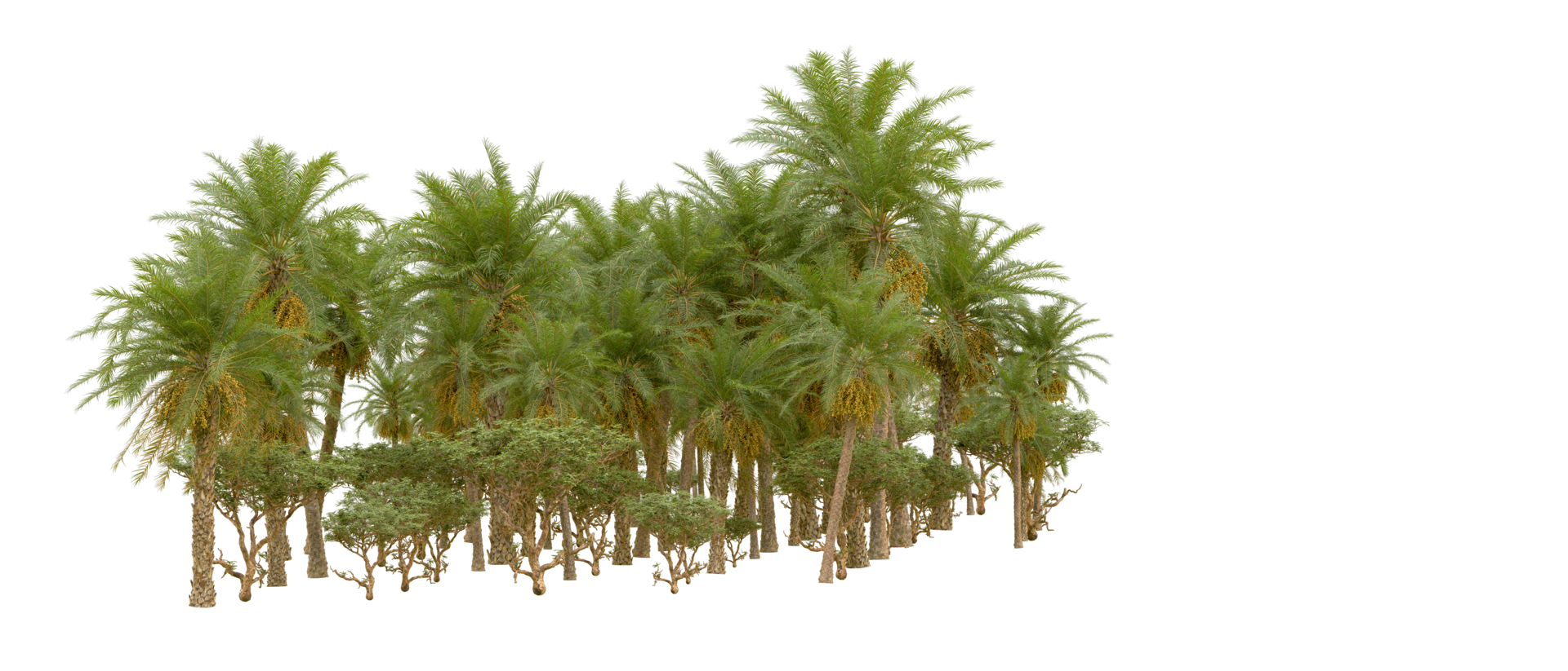 Green forest isolated on background. 3d rendering - illustration png