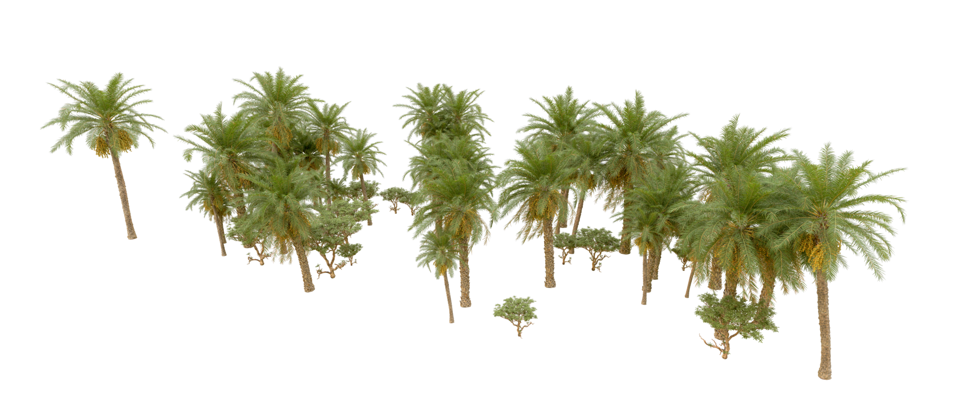 Green forest isolated on background. 3d rendering - illustration png