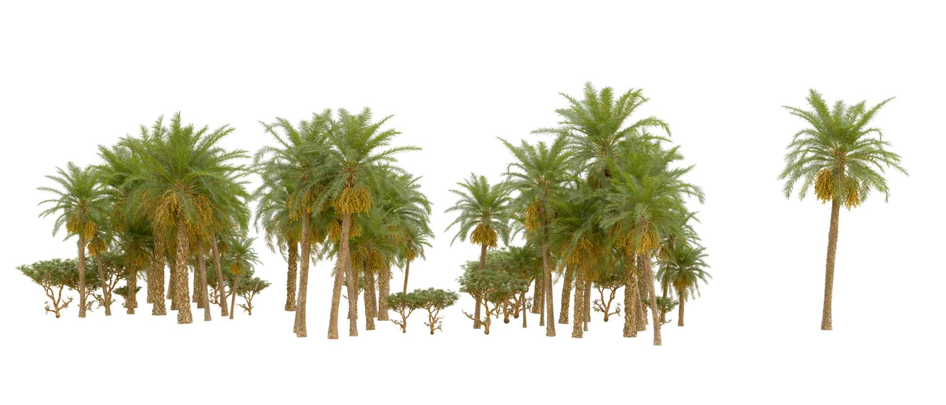 Green forest isolated on background. 3d rendering - illustration png