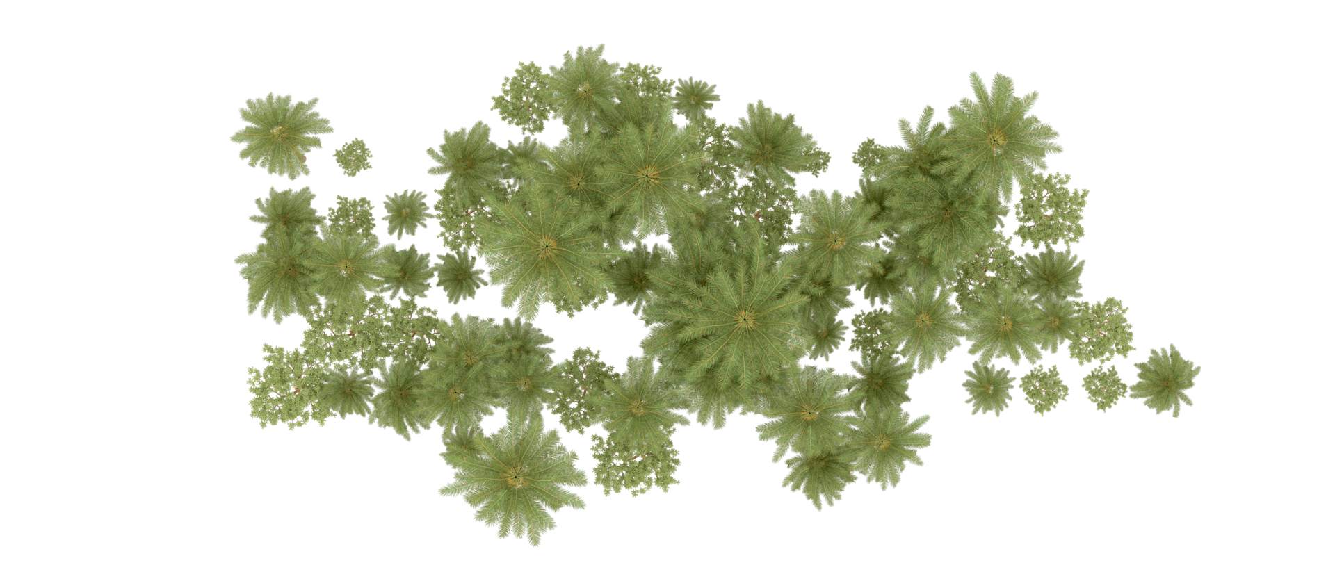 Green forest isolated on background. 3d rendering - illustration png