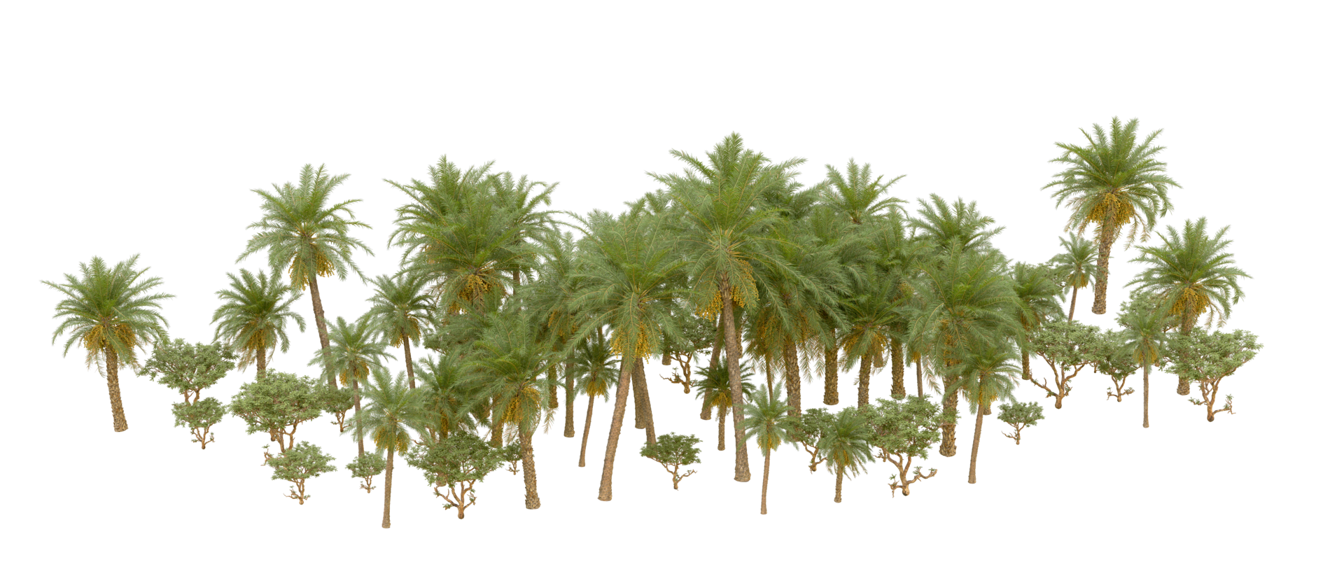 Green forest isolated on background. 3d rendering - illustration png