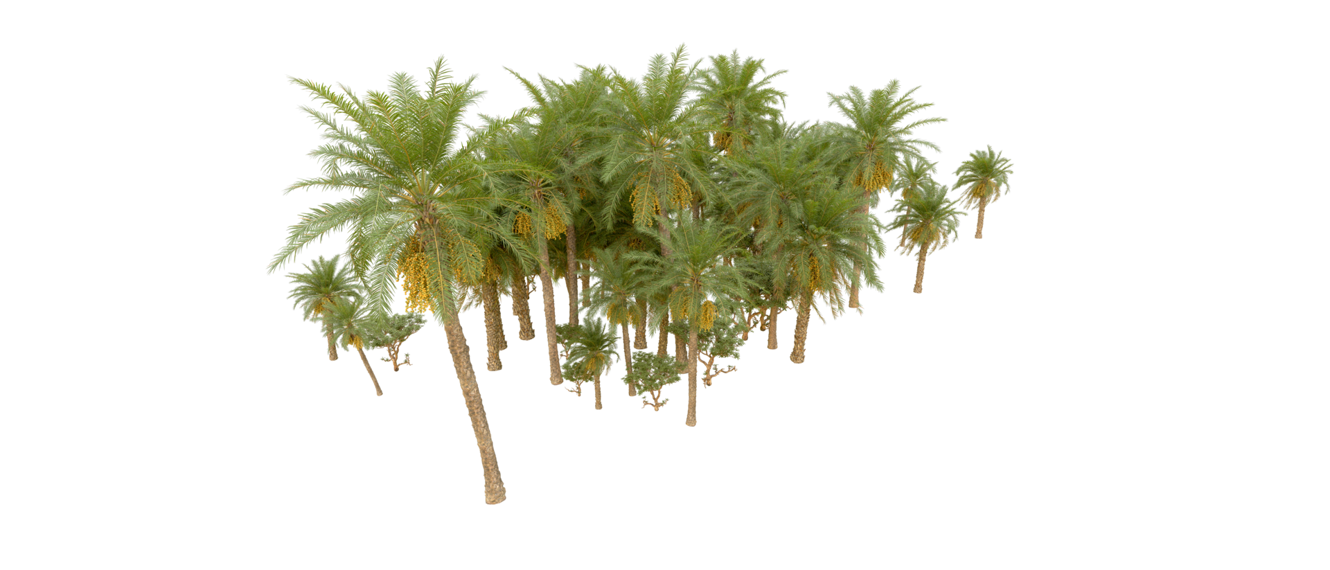 Green forest isolated on background. 3d rendering - illustration png
