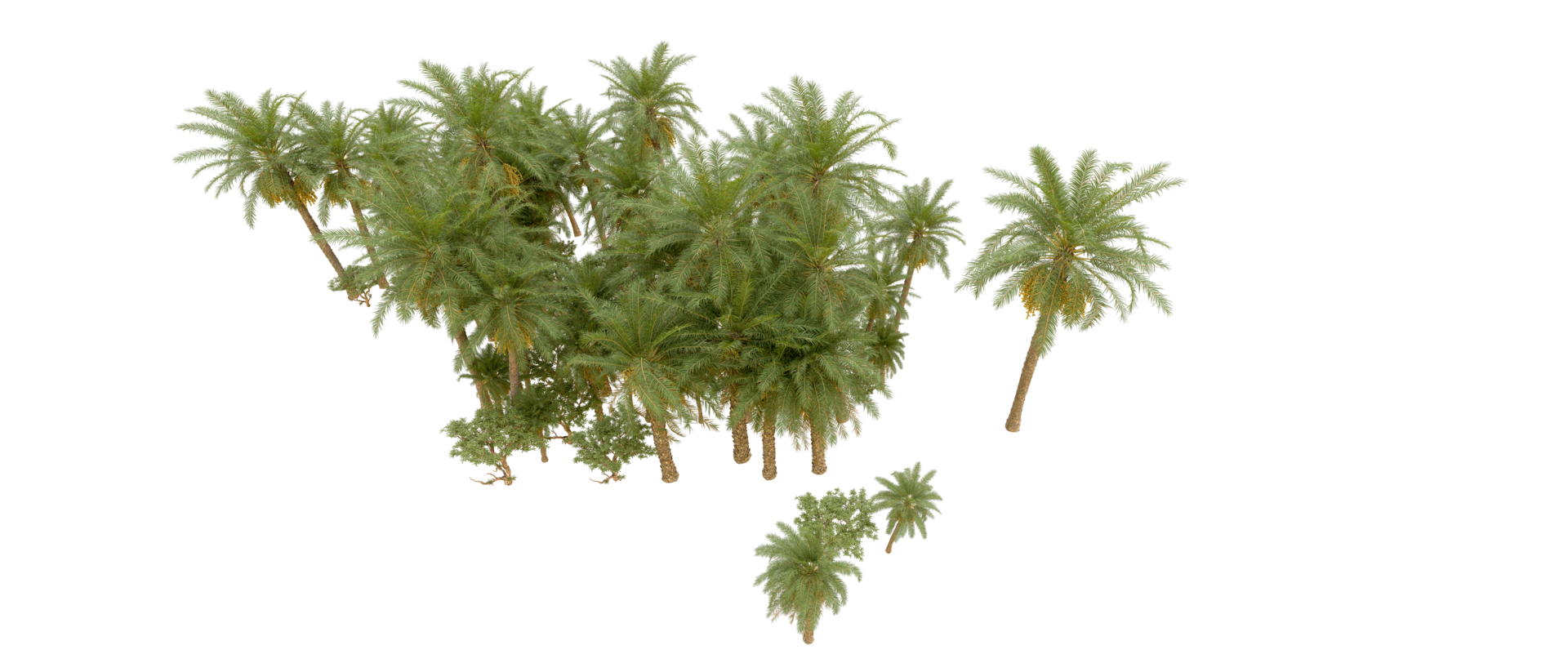 Green forest isolated on background. 3d rendering - illustration png