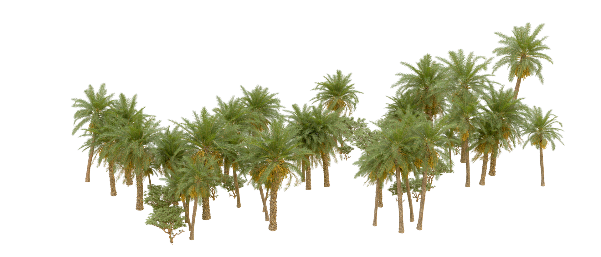 Green forest isolated on background. 3d rendering - illustration png