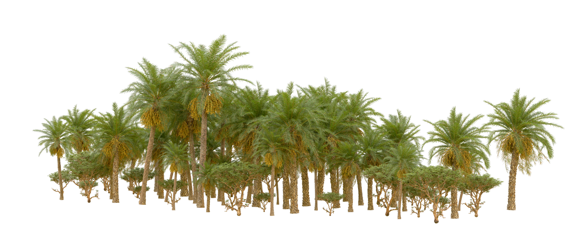 Green forest isolated on background. 3d rendering - illustration png
