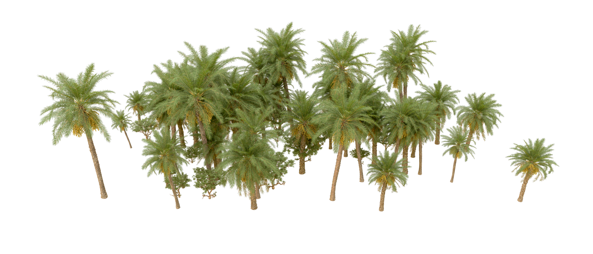 Green forest isolated on background. 3d rendering - illustration png