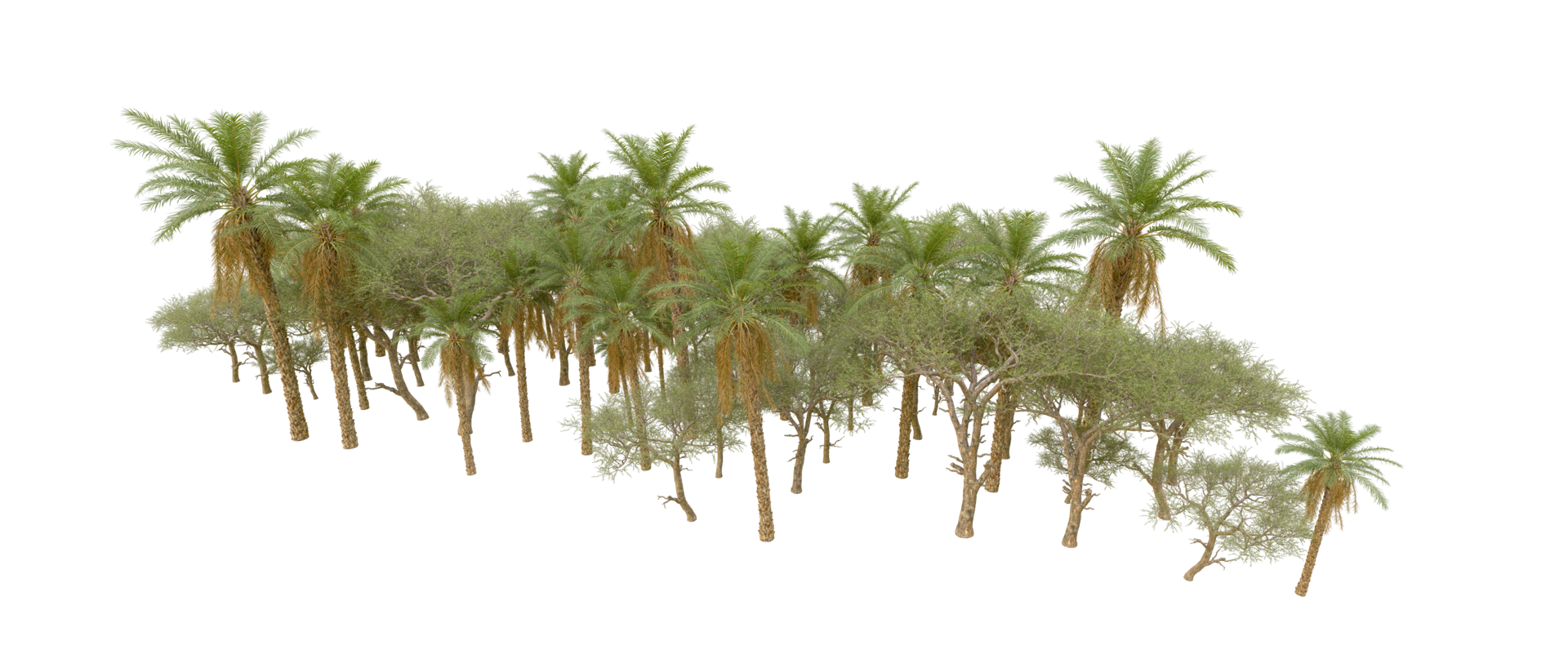 Green forest isolated on background. 3d rendering - illustration png