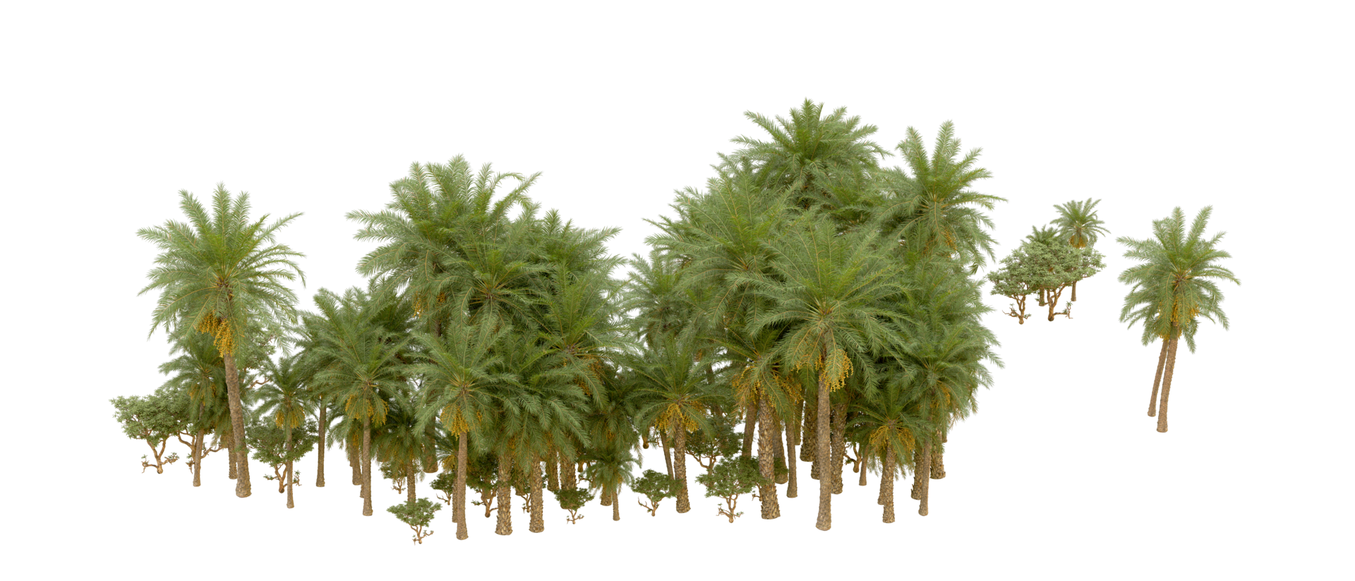 Green forest isolated on background. 3d rendering - illustration png