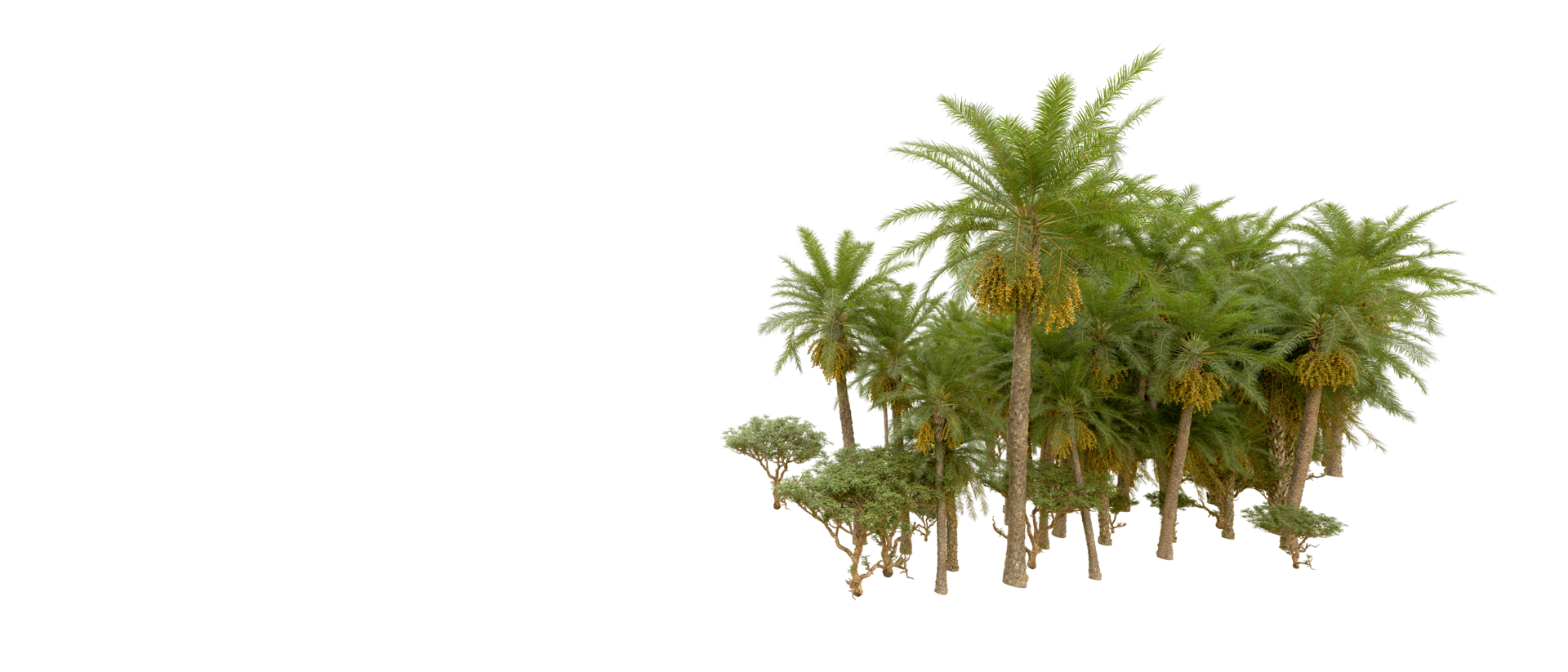 Green forest isolated on background. 3d rendering - illustration png