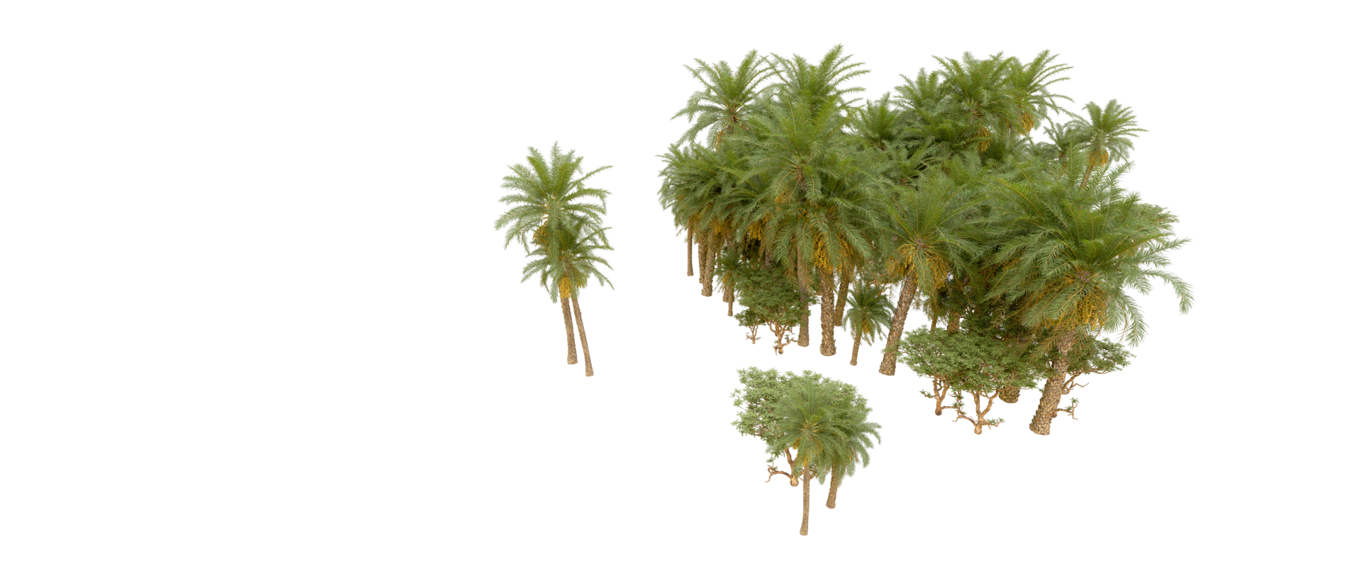 Green forest isolated on background. 3d rendering - illustration png