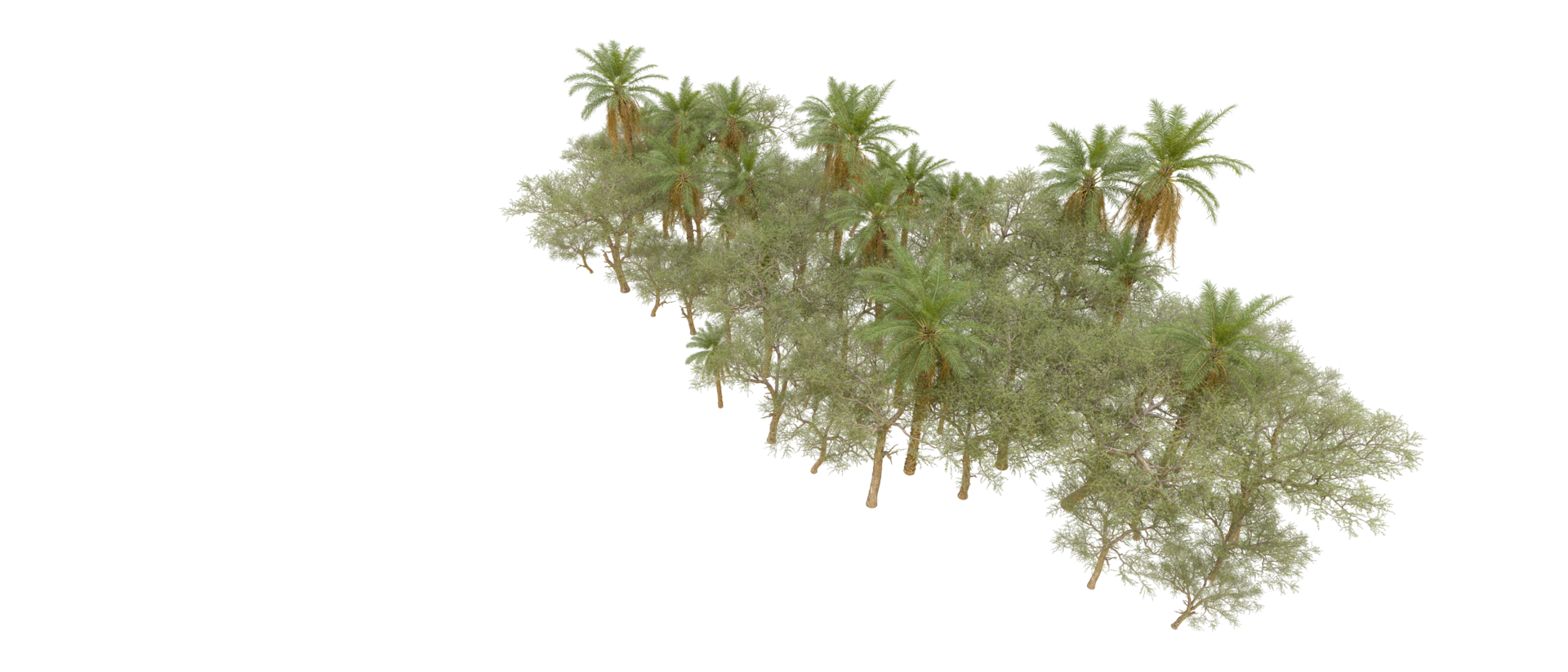 Green forest isolated on background. 3d rendering - illustration png