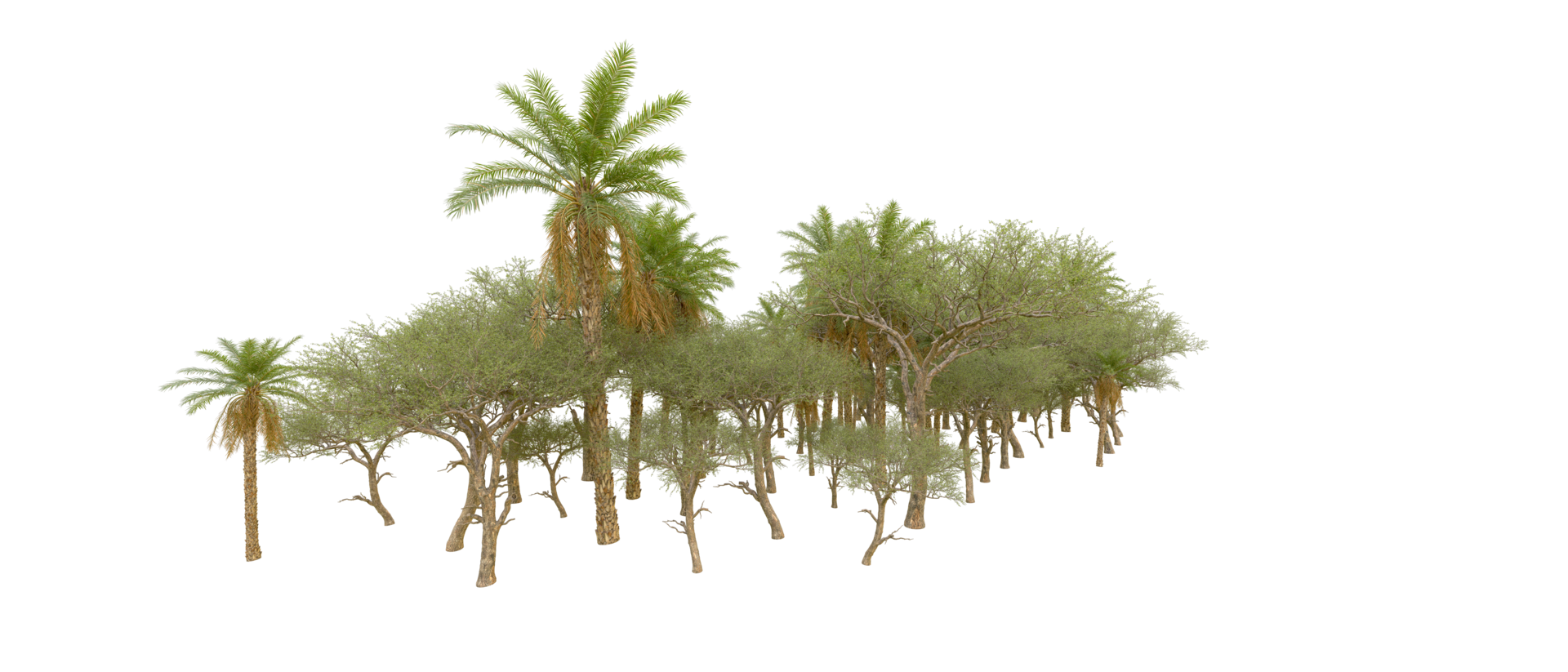 Green forest isolated on background. 3d rendering - illustration png
