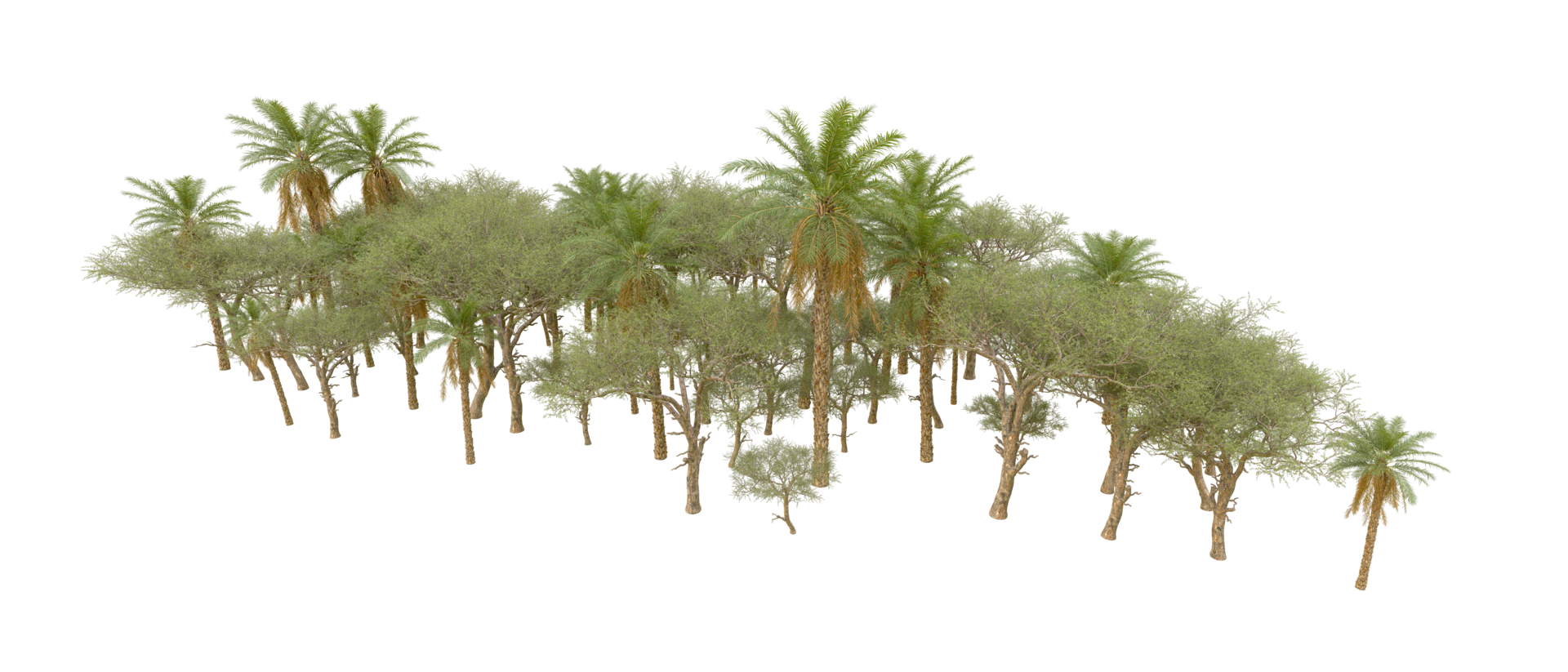 Green forest isolated on background. 3d rendering - illustration png