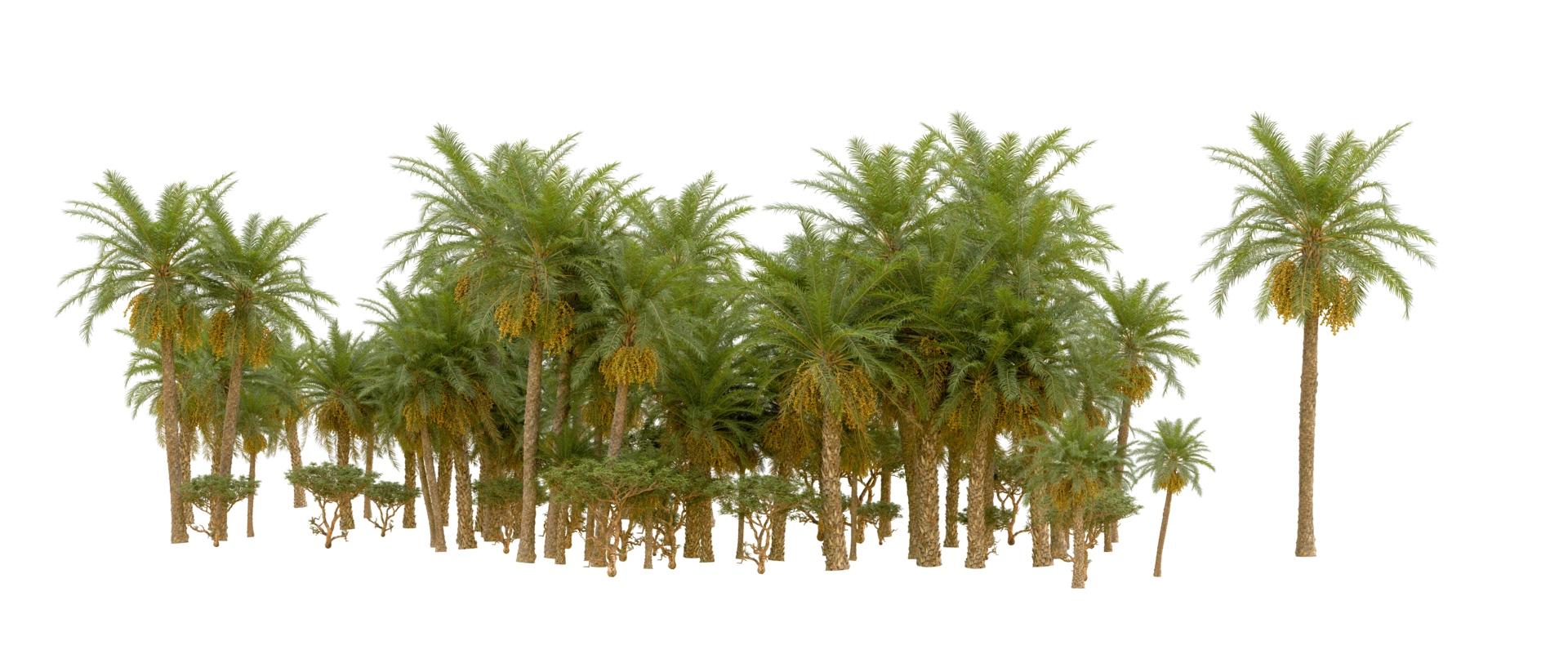 Green forest isolated on background. 3d rendering - illustration png