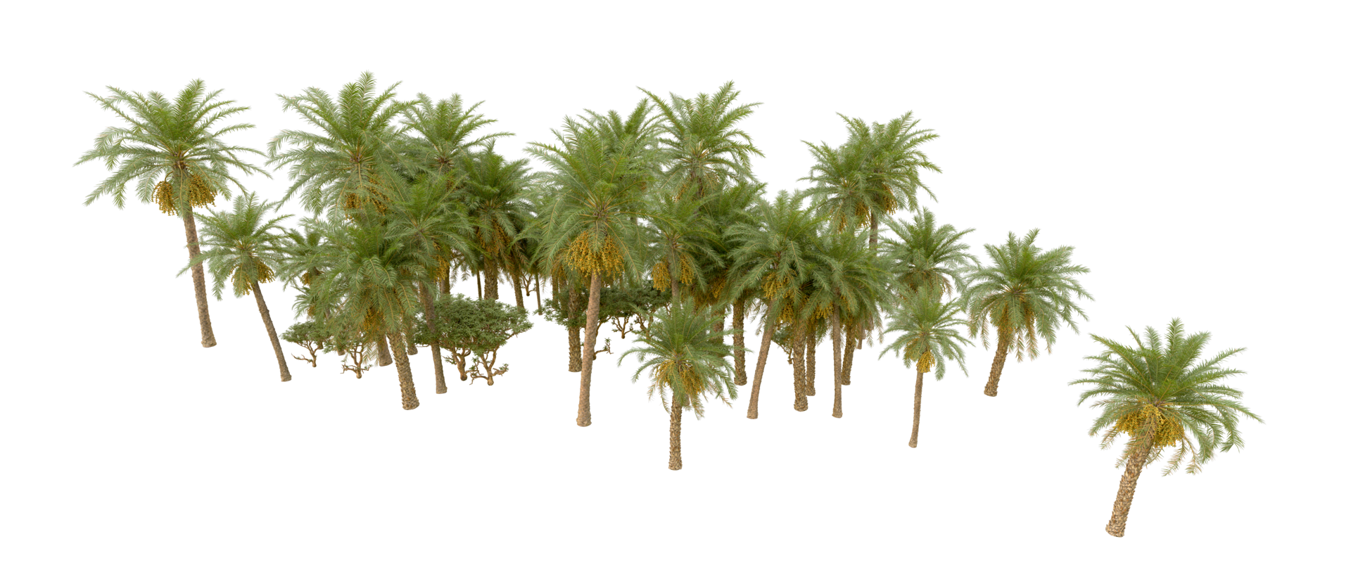 Green forest isolated on background. 3d rendering - illustration png