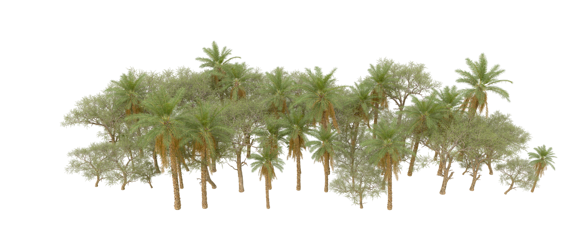 Green forest isolated on background. 3d rendering - illustration png