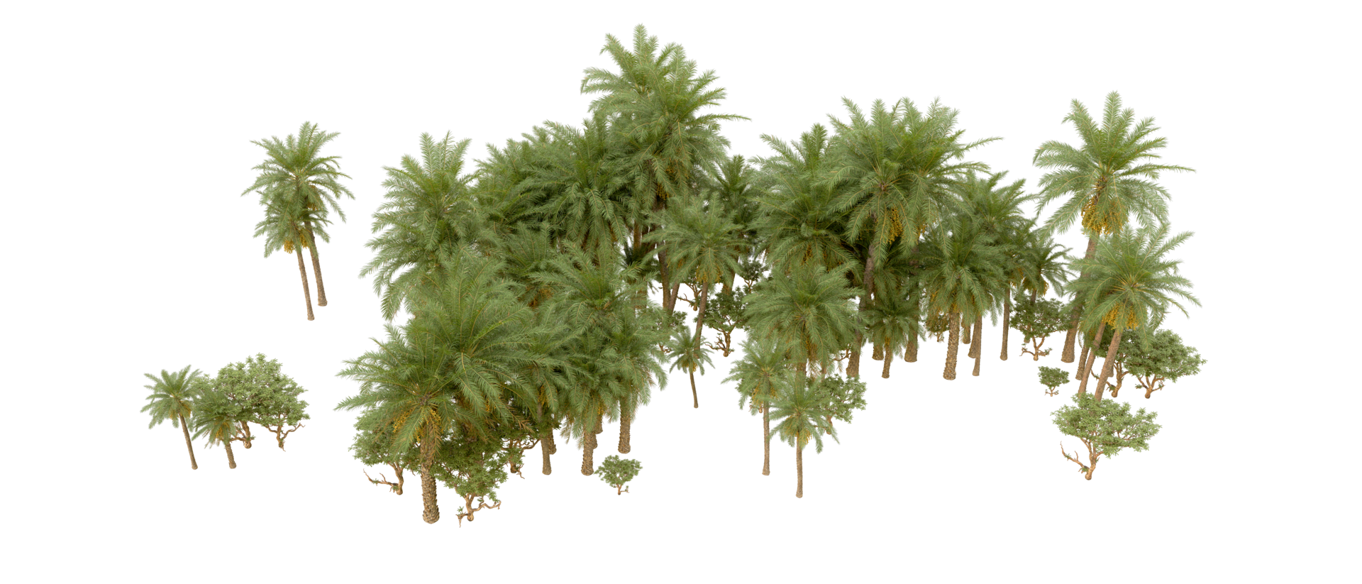 Green forest isolated on background. 3d rendering - illustration png