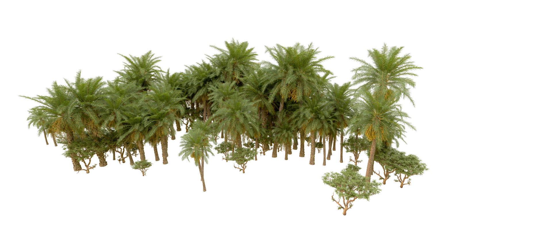 Green forest isolated on background. 3d rendering - illustration png