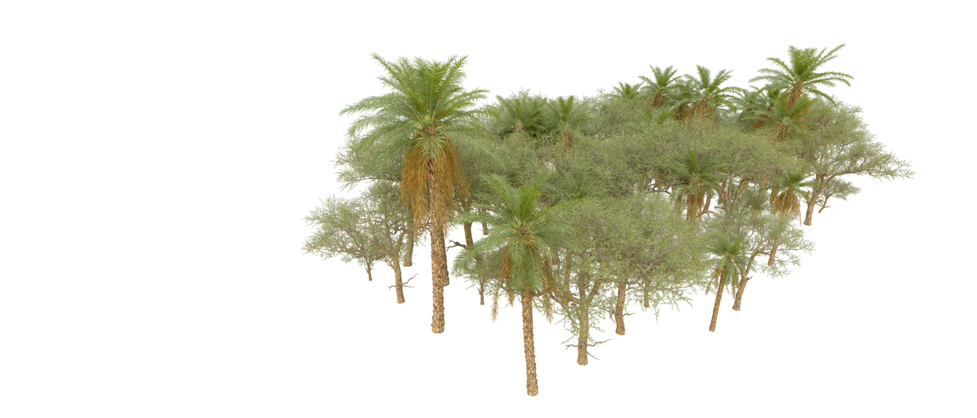 Green forest isolated on background. 3d rendering - illustration png