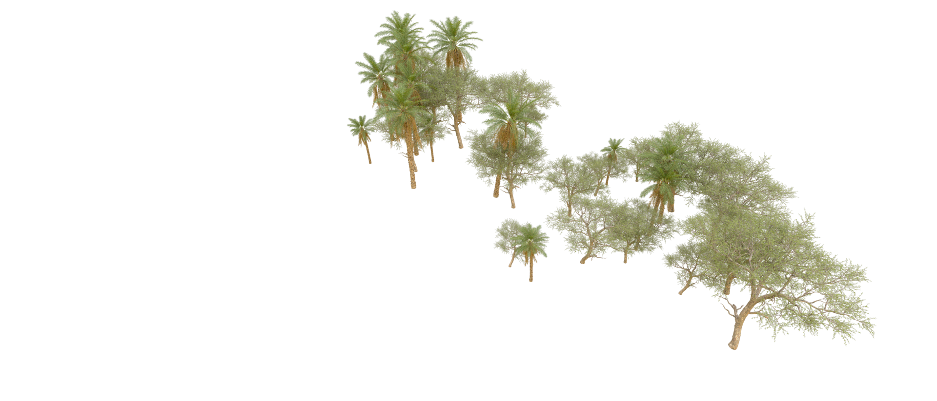 Green forest isolated on background. 3d rendering - illustration png