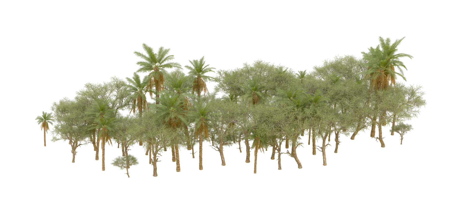 Green forest isolated on background. 3d rendering - illustration png