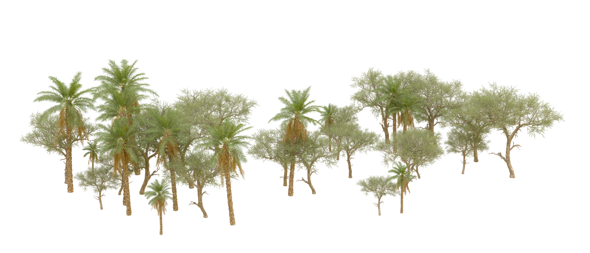Green forest isolated on background. 3d rendering - illustration png