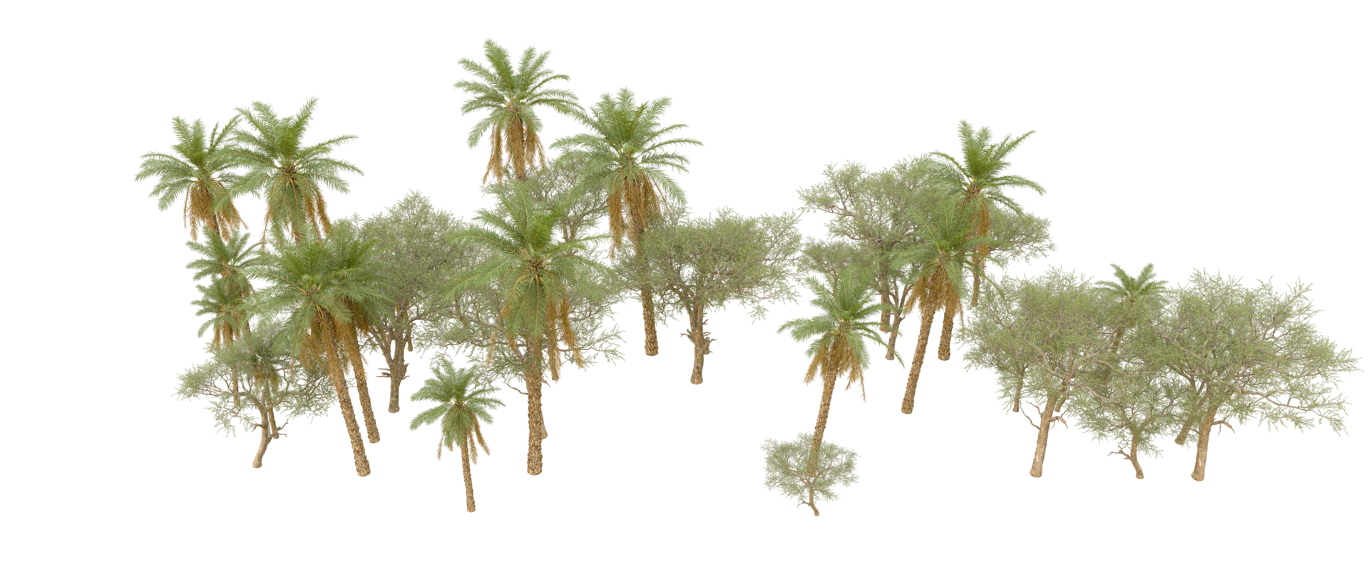 Green forest isolated on background. 3d rendering - illustration png