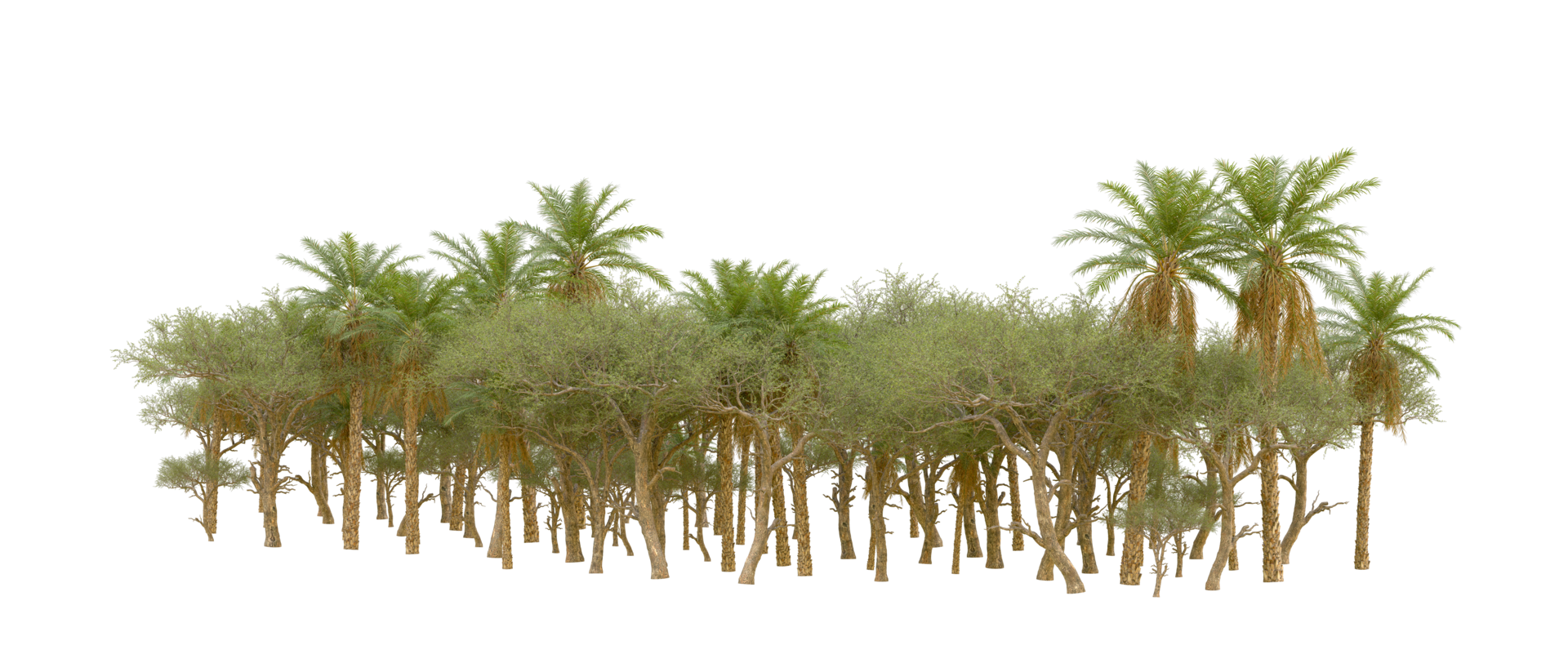 Green forest isolated on background. 3d rendering - illustration png