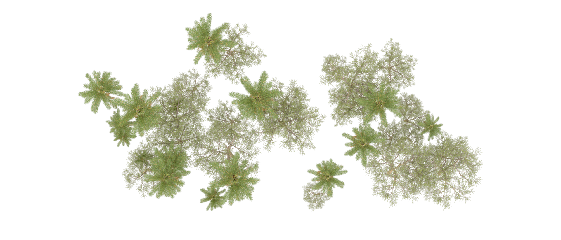 Green forest isolated on background. 3d rendering - illustration png