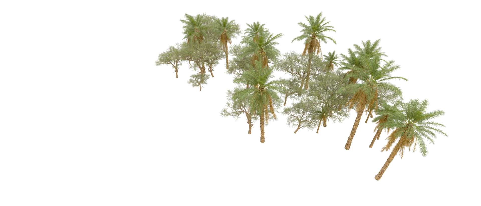 Green forest isolated on background. 3d rendering - illustration png