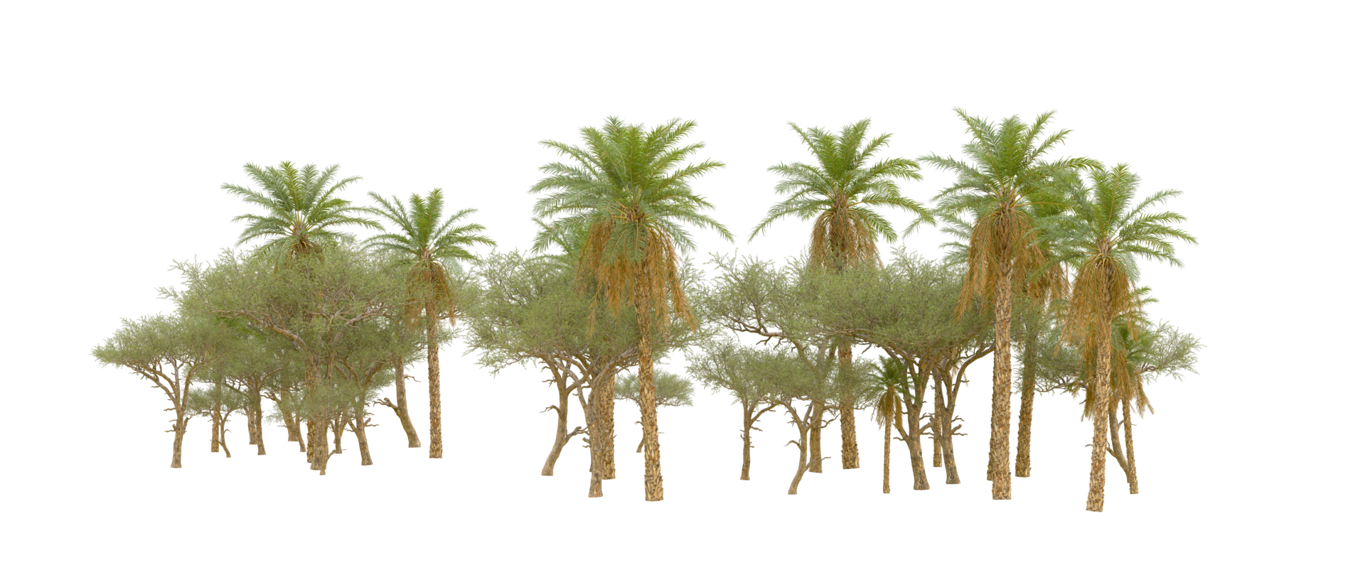 Green forest isolated on background. 3d rendering - illustration png