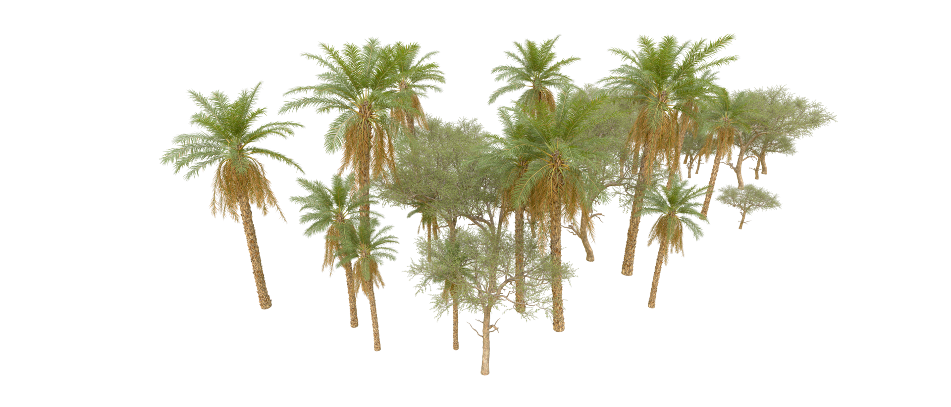 Green forest isolated on background. 3d rendering - illustration png