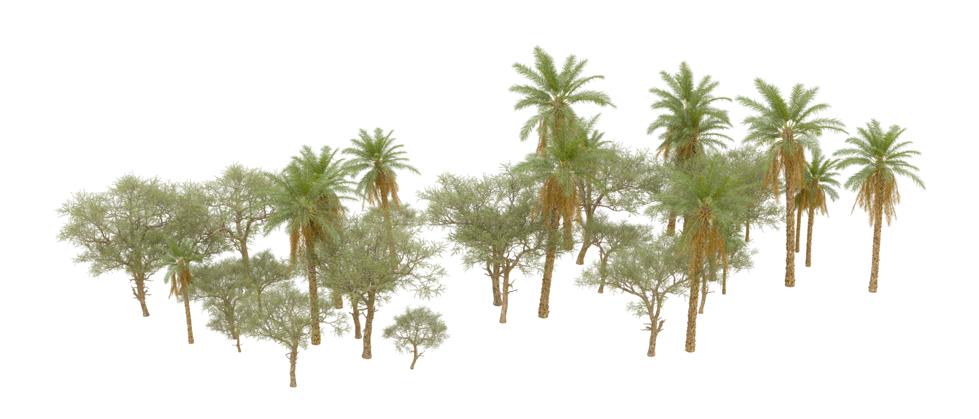 Green forest isolated on background. 3d rendering - illustration png