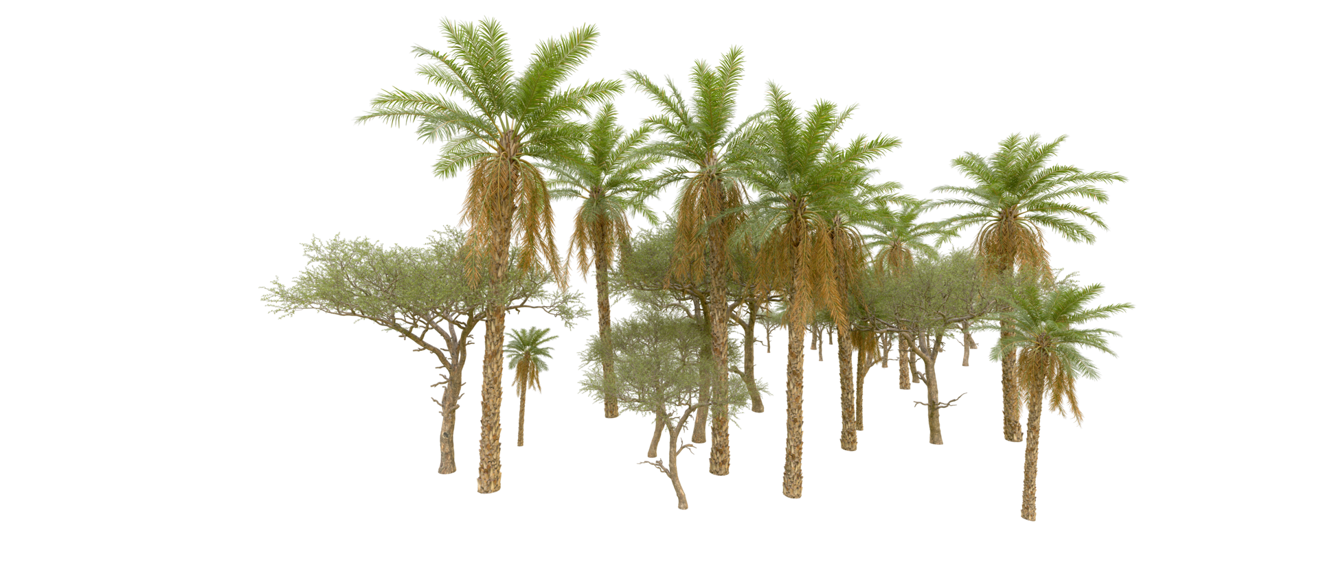 Green forest isolated on background. 3d rendering - illustration png
