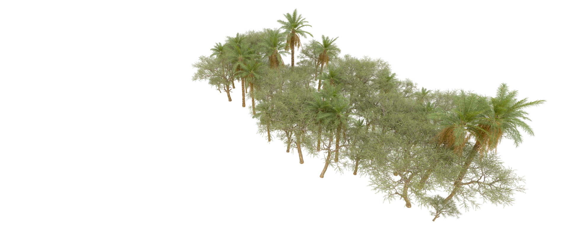 Green forest isolated on background. 3d rendering - illustration png