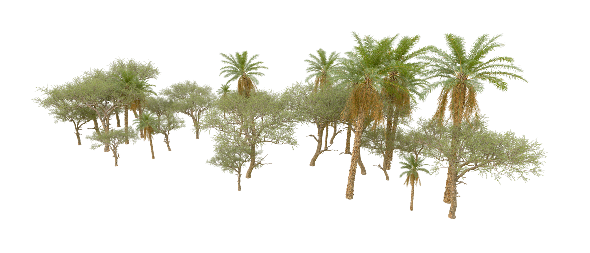 Green forest isolated on background. 3d rendering - illustration png