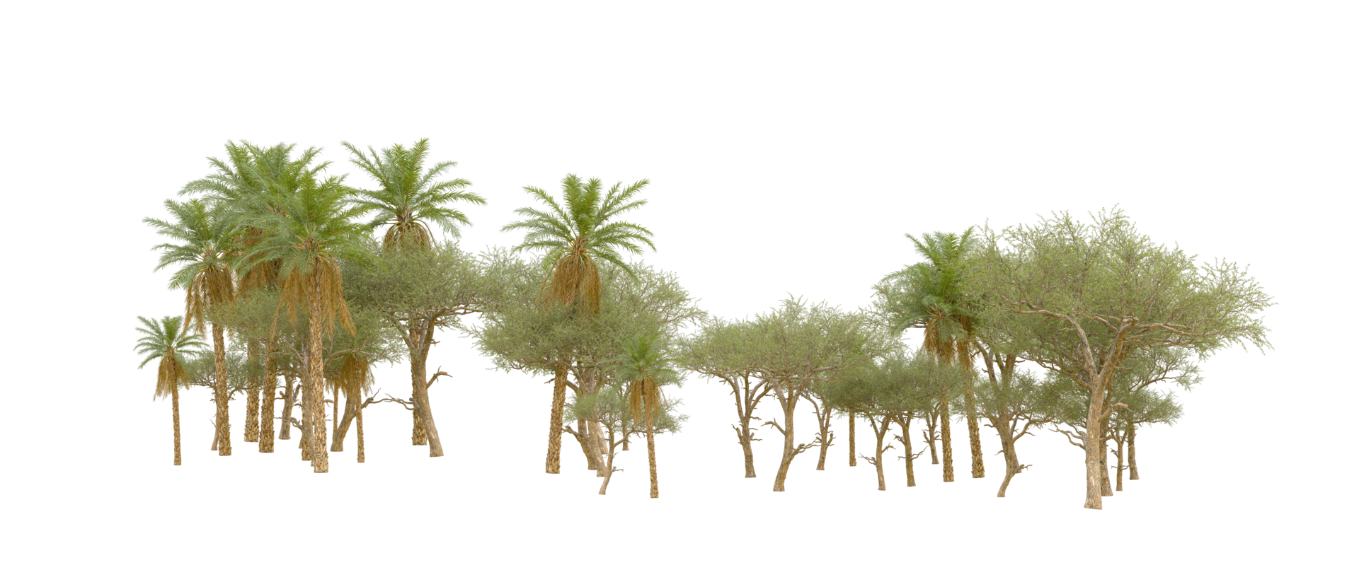 Green forest isolated on background. 3d rendering - illustration png
