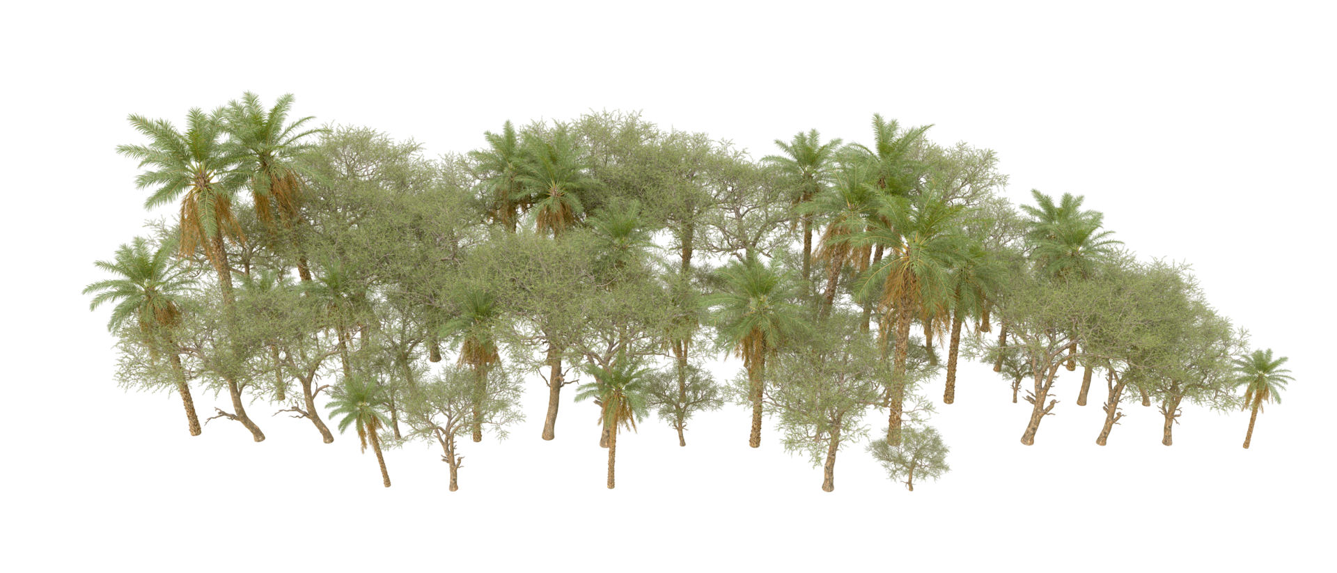 Green forest isolated on background. 3d rendering - illustration png