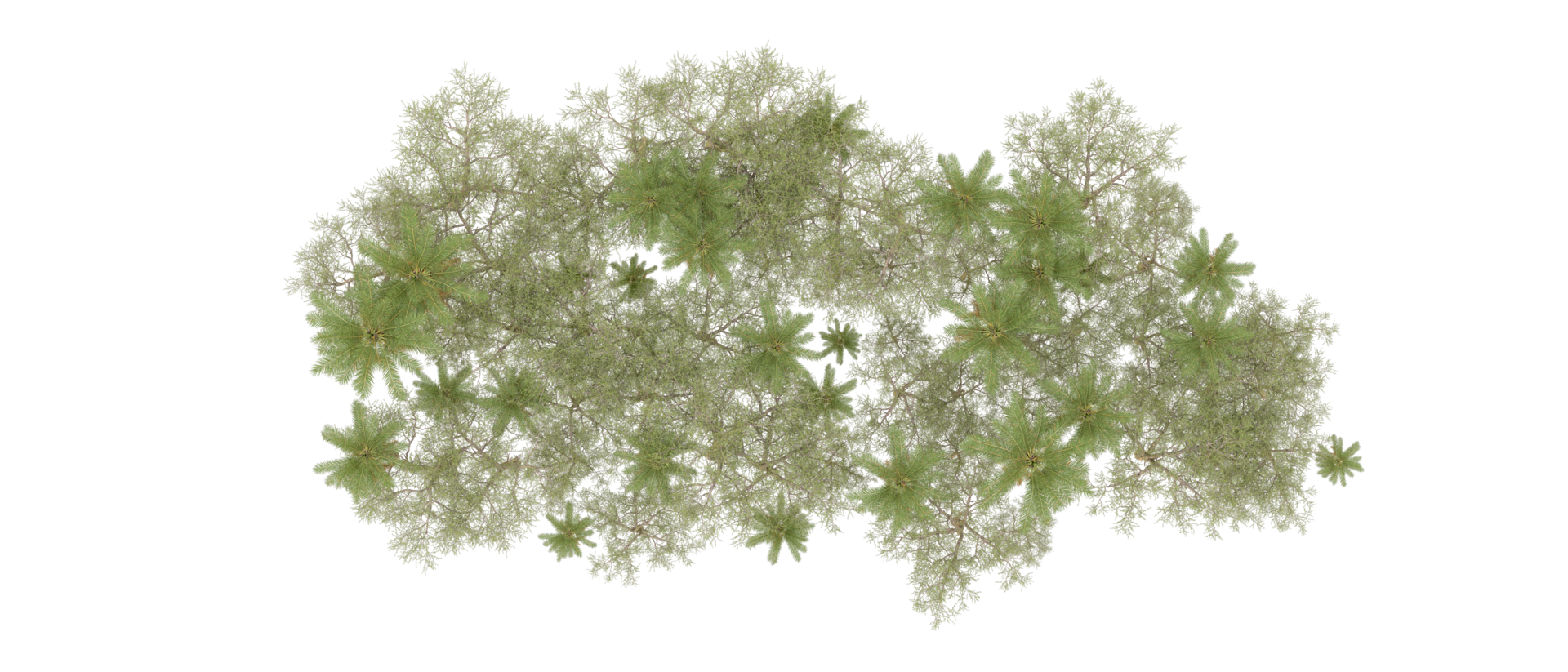 Green forest isolated on background. 3d rendering - illustration png