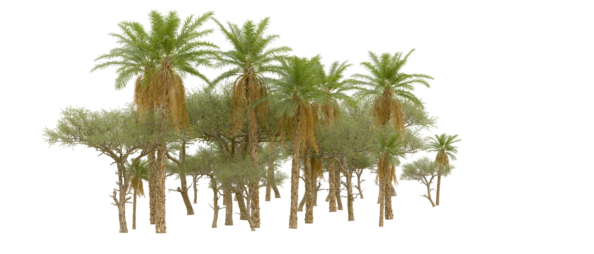 Green forest isolated on background. 3d rendering - illustration png