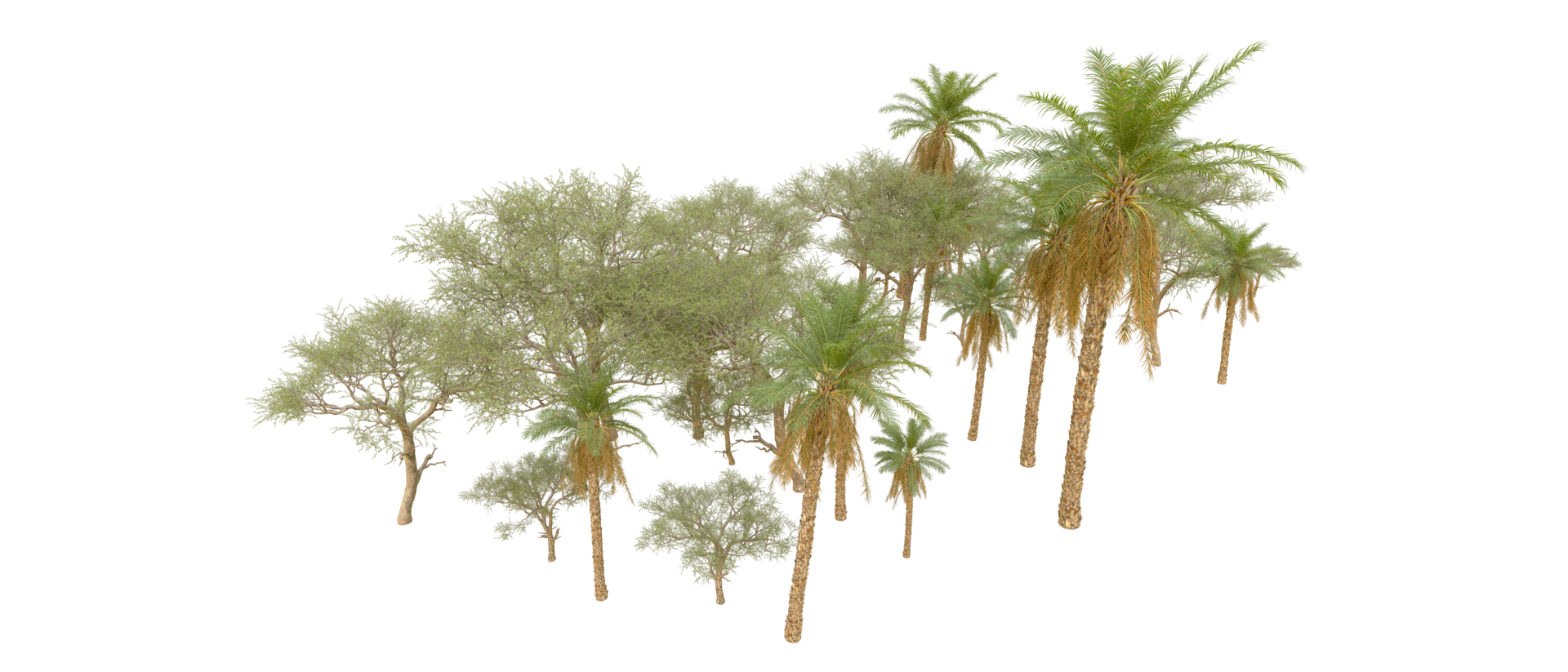 Green forest isolated on background. 3d rendering - illustration png