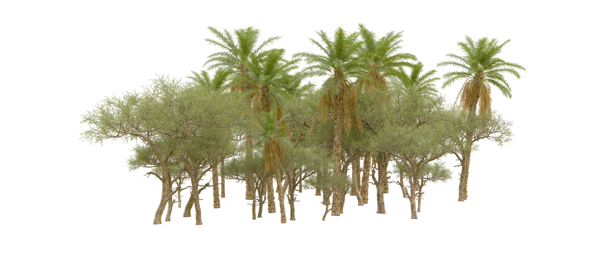 Green forest isolated on background. 3d rendering - illustration png